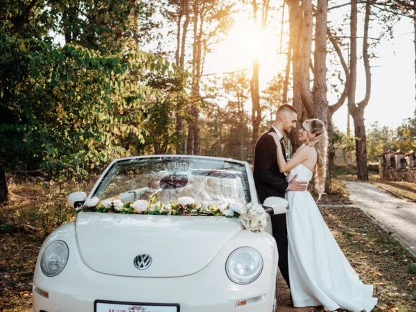 Bubarent Галерија 1