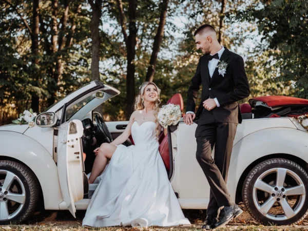 Bubarent Галерија 2