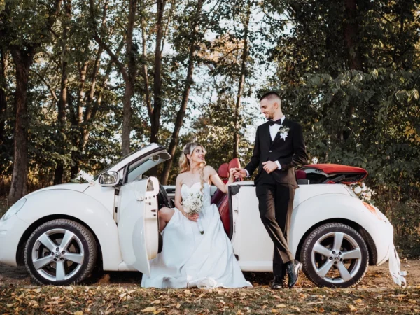 Bubarent Галерија 3