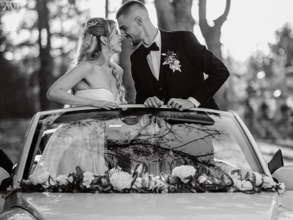 Bubarent Галерија 6