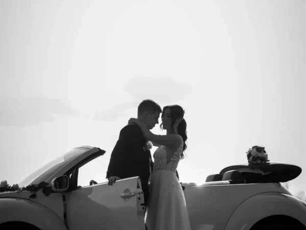 Bubarent Галерија 8