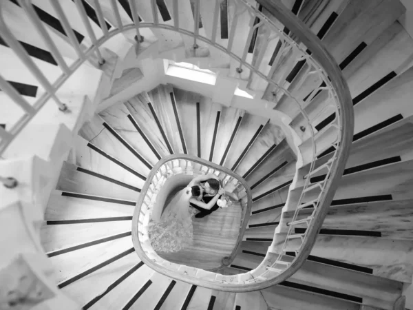 Concept Production Галерија 21