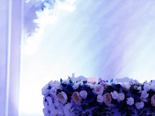 „МОНА ЛИЗА“ – Радово Галерија 11