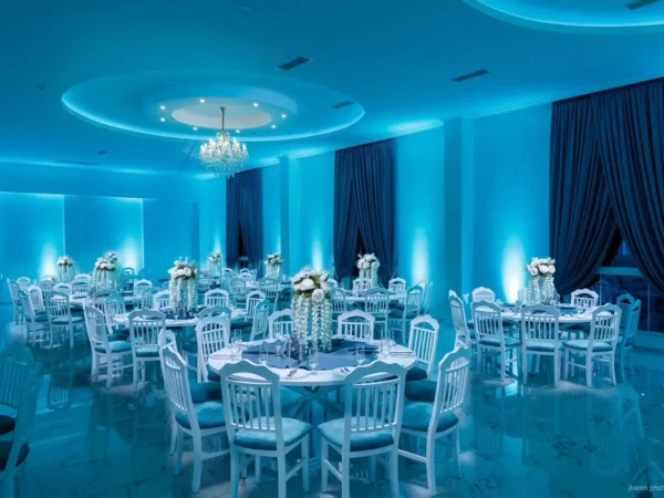 „МОНА ЛИЗА“ – Радово Галерија 0