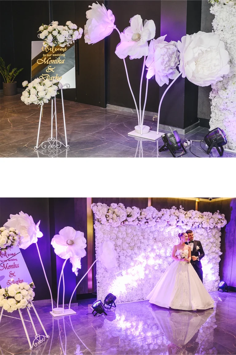 Традиционална свадба во Цар Самуил – Моника и Дарко