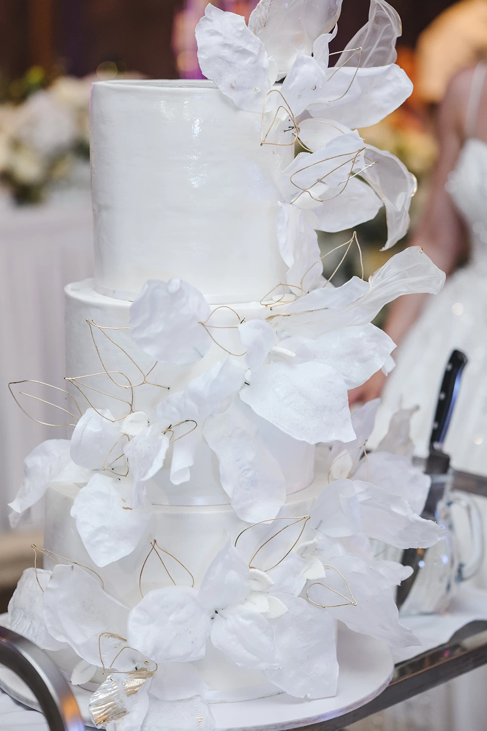 Традиционална свадба во Цар Самуил – Моника и Дарко