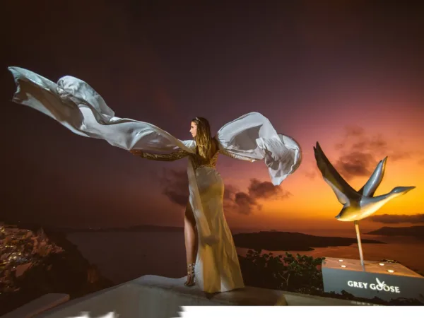 Bubo Photography Галерија 3