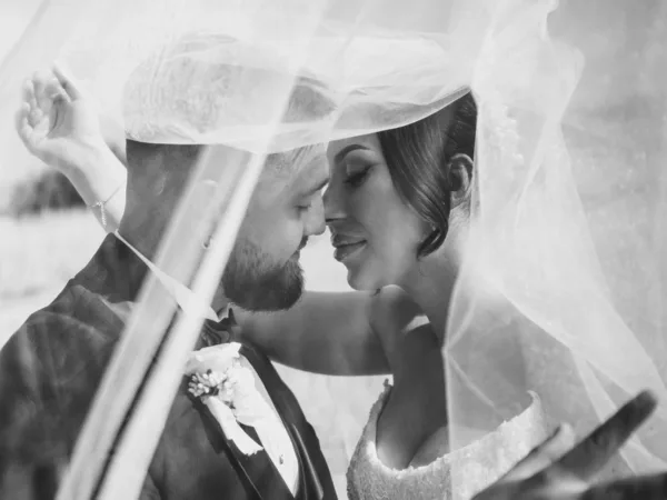 Bubo Photography Галерија 19