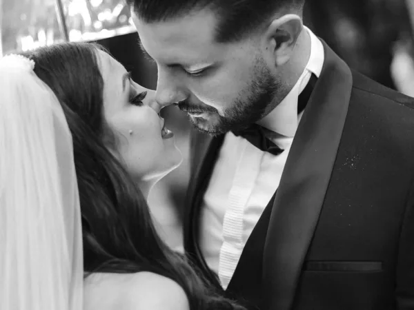 Bubo Photography Галерија 37