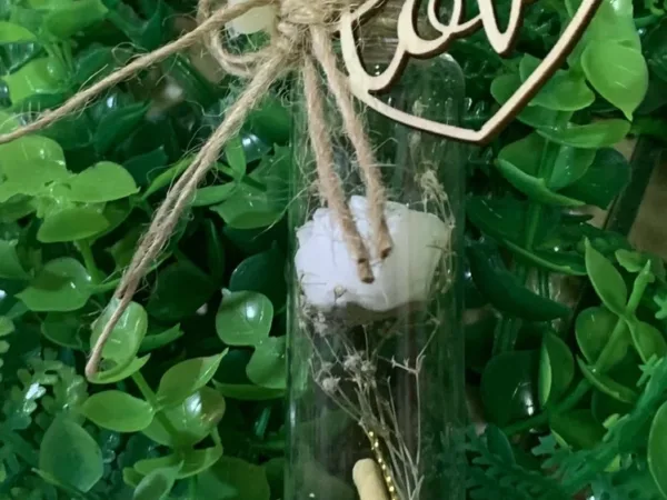 Jana Botanical Studio Галерија 7