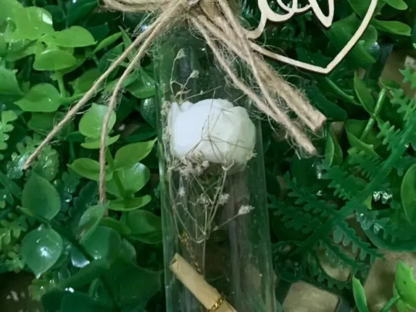 Jana Botanical Studio Галерија 10