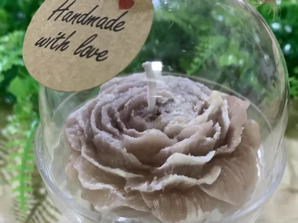 Jana Botanical Studio Галерија 11