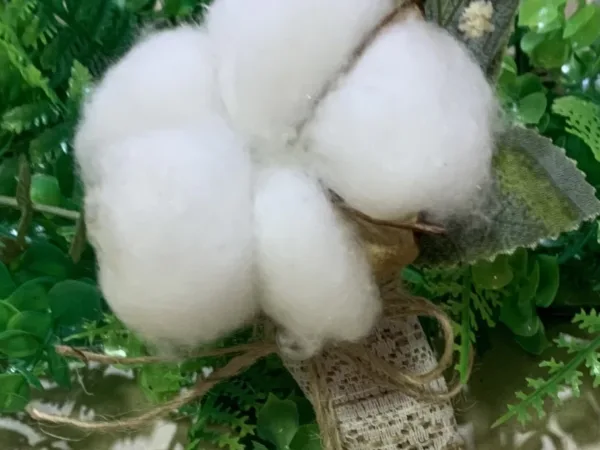 Jana Botanical Studio Галерија 18